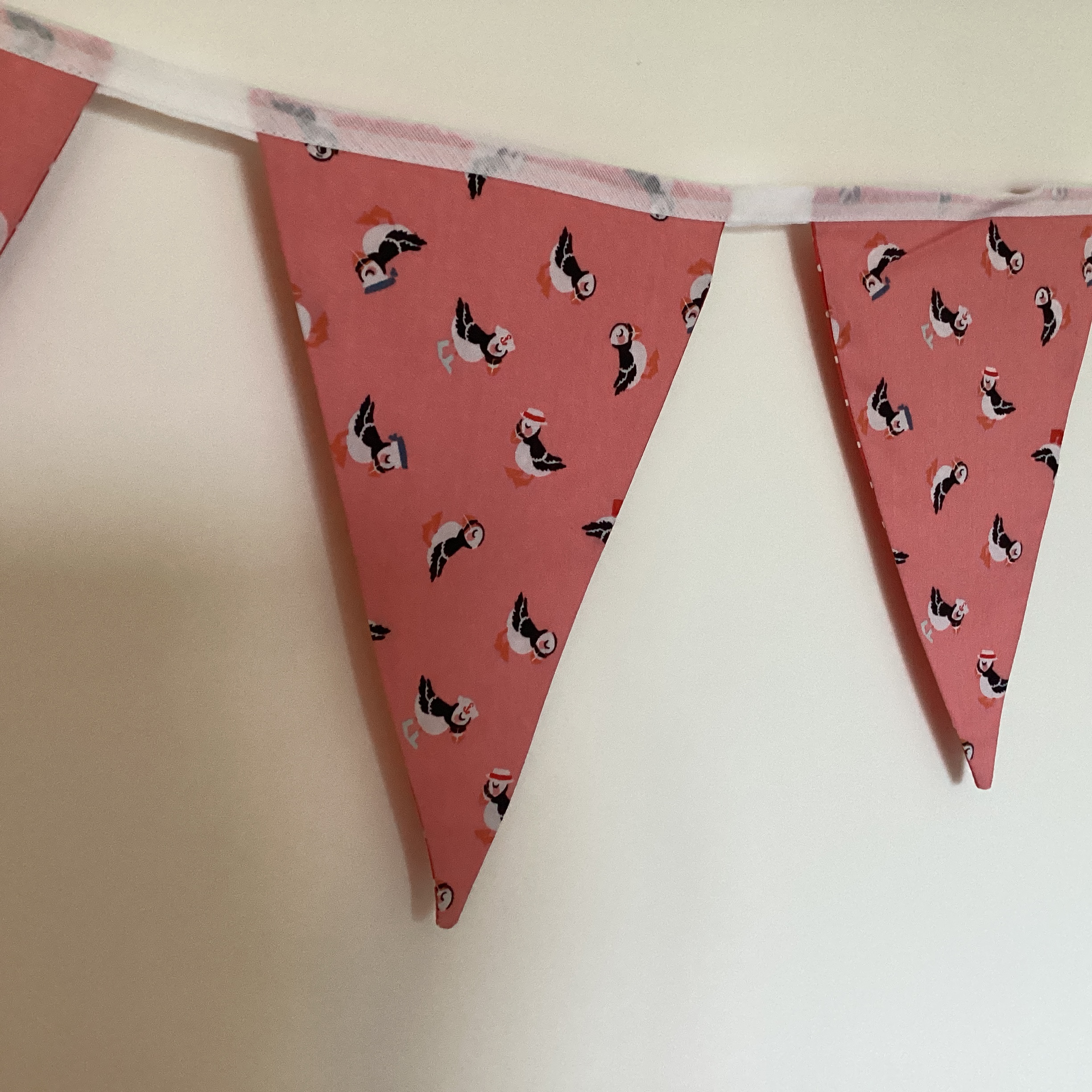 Bunting - puffins